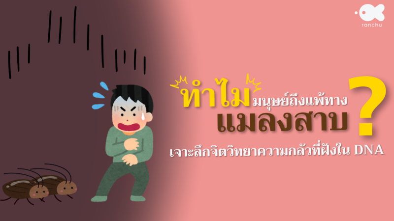 ゴキブリ恐怖症-2